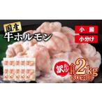 牛肉 ホルモン 訳あり牛ホルモン 小腸 2kg