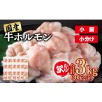 牛肉 ホルモン 訳あり牛ホルモン 小腸 3kg