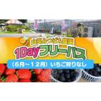 体験チケット 1Dayフリーパス 6月~12月