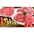 豚肉 セット 産やまと豚5種約1.3kg