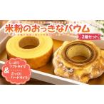 焼菓子 チョコレート バウムクーヘン 米粉のおっきなバウム…