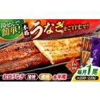 うなぎ 3回定期便 うなぎ老舗専門店のパリっとふっくら