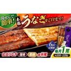 うなぎ 6回定期便 うなぎ老舗専門店のパリっとふっくら