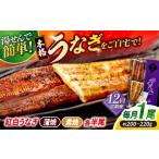 うなぎ 12回定期便 うなぎ老舗専門店のパリっとふっくら