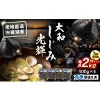 魚貝類 しじみ 全3回定期便 宍道湖産 冷凍大和しじみMサイ…