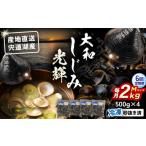 魚貝類 しじみ 全6回定期便 宍道湖産 冷凍大和しじみMサイ…