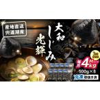 魚貝類 しじみ 全3回定期便 宍道湖産 冷凍大和しじみMサイ…