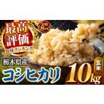 玄米 令和8年産 訳あり こしひかり 約10kg