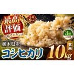 玄米 令和8年産 定期便3回 訳あり こしひかり 約10kg