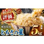 玄米 令和8年産 訳あり 約5kg