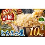 玄米 令和8年産 定期便3回 訳あり 約10kg