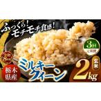 玄米 令和8年産 \訳あり ミルキークイーン