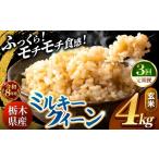 玄米 令和8年産 \訳あり ミルキークイーン