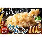 玄米 令和8年産 \訳あり ミルキークイーン