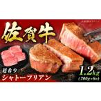 牛肉 ヒレ 佐賀牛 ヒレステーキ シャトーブリアン 1.2kg