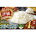 玄米 令和8年産 \訳あり こしひかり 新米