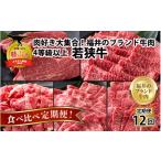 牛肉 肉の定期便×12回コース 肉好き大集合
