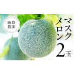 ふるさと納税 メロン メロン青肉 愛知県 田原市 藤原農園　アールスメロン　3玉 3玉：19,000円