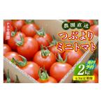 トマト ミニトマト 全3回定期便 農園直送