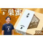 加工品等 はちみつ 蜂の営みそのまま 天然はちみつ