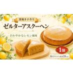 ケーキ カステラ ゼルターアスクーヘン 6号