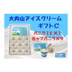 ふるさと納税 菓子 アイス 三重県 大紀町 （冷凍）大内山アイスクリーム　ギフトＣ　バニラ1000×１・カップバニラ×９ ／ 大紀町　大内山ミルク村　大内山乳…