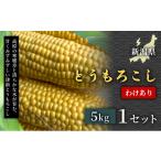 ふるさと納税 野菜類 新潟県 津南町  令和8年産先行予約 朝採れ 激甘 訳あり とうもろこし 5kg 1セット 新潟県 津南町 訳アリ スイートコーン