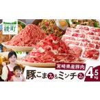 豚肉 セット 産〈豚肉小間切れ&amp;ミンチ