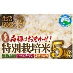 ふるさと納税 玄米 福井県 越前町  生活応援米 令和7年産 米 特別栽培米 5kg 福井県越前町産 玄米 お米 コメ kome 5キロ 家庭用 白米 玄米 農薬5割減 e81-a002…