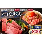 マグロ まぐろ専門店 湊魚問屋プレミアムまぐろセット