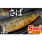 干物 サバ 5営業日以内発送 訳あり 鯖 約 1kg