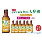 お酒 定期便6回 寶CRAFT 熊本 大見柑