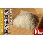 ふるさと納税 米 鹿児島県 阿久根市 あきほなみ (10kg) 国産 米 お米 コメ 白米 アキホナミ ごはん ご飯 お弁当 おにぎり 特A うとさんち akn067-22