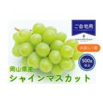 ふるさと納税 ぶどう マスカット 岡山県 真庭市  2026年先行予約 小さなぶどう園の シャインマスカット お試し1房 500g以上 ご家庭用 ここちとふぁーむ 岡山県…