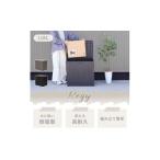 収納 ストレージボックス Regy レジー 118L
