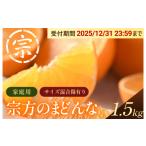 ふるさと納税 果物類 みかん 愛媛県 今治市  先行予約 宗方のまどんな（家庭用）約1.5kg 紅まどんなと同品種 柑橘の女王 まどんな K003600K1.5