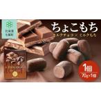 菓子 チョコレート ちょこもち ミルクチョコ×ミルクもち