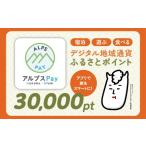 ポイント 共通地域ポイント アルプスPayふるさとポイント