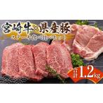 牛肉 ステーキ 宮崎牛×県産豚 ステーキ食べ比べ