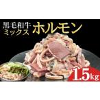 ふるさと納税 牛肉 ホルモン 宮崎県 小林市 宮崎県産ミックスホルモン 500g×3P 計1.5kg（牛肉 肉 ホルモン 黒毛和牛 もつ鍋 焼肉 鍋）