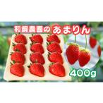 ふるさと納税 いちご 埼玉県 秩父市 和銅農園のあまりん　400g ／ いちご あまりん 甘い ジューシー 香り高い フルーツ 400g 冷蔵 新鮮 ザート おやつ 高糖度 …