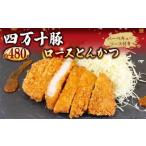 豚肉 焼肉 バーベキュー とんかつ 480g