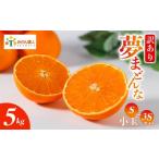 ふるさと納税 みかん・柑橘類 オレンジ 愛媛県 愛南町  訳あり みかん職人の夢まどんな 小玉 5kg 柑橘 果物 フルーツ 愛媛 みかん職人武田屋 蜜柑 愛果28号 愛…