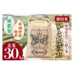 ふるさと納税 玄米 岩�