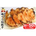 餃子 焼鳥屋さんの鶏つくね餃子 10個入り