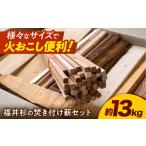 アウトドアグッズ PEFC認証 福井杉の焚き付け薪セット