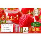 うるう農園のあまおう サイズ色々2パック