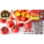野菜類 トマト 全3回 定期便 フルーツトマト 3種