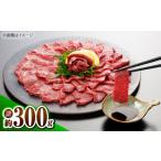 馬肉 令和8年度熊本地震復興支援 上赤身馬刺し 300g