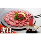 ふるさと納税 馬肉 熊本県 菊陽町 上赤身馬刺し 500g 専用醤油付き150ml ／ 馬刺し 菊陽町 熊本県 醤油 専用 ばさし 馬肉 肉 niku おつまみ 九州 冷凍 有限会…